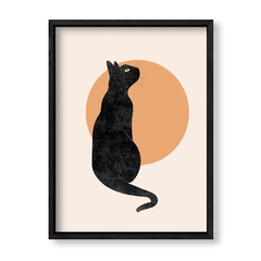Imagen de Gato Nocturno