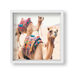 Camellos del Desierto - tienda online