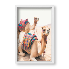Camellos del Desierto - tienda online
