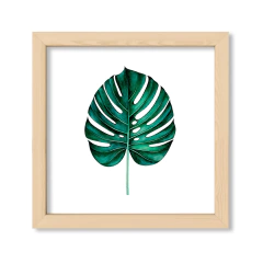 Alone Monstera