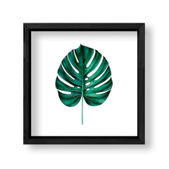 Imagen de Alone Monstera