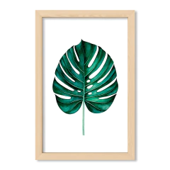 Alone Monstera