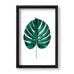Imagen de Alone Monstera