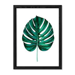 Alone Monstera en internet