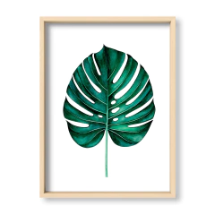 Alone Monstera - El Nido - Tienda de Objetos