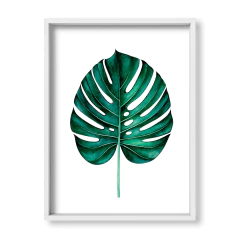 Alone Monstera - tienda online