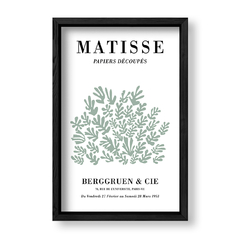 Imagen de Matisse Plants
