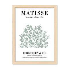 Matisse Plants