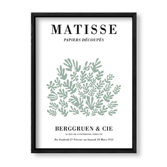Imagen de Matisse Plants