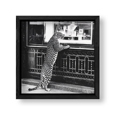 Imagen de Leopardo de Compras