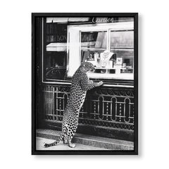 Imagen de Leopardo de Compras