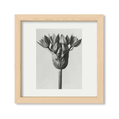 Retro Flower