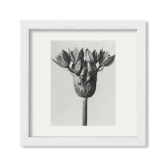 Retro Flower - comprar online