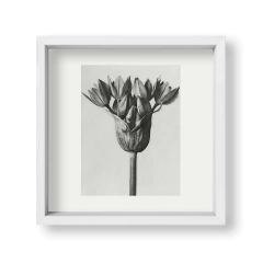 Retro Flower - tienda online