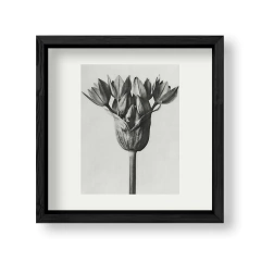 Imagen de Retro Flower