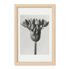 Retro Flower
