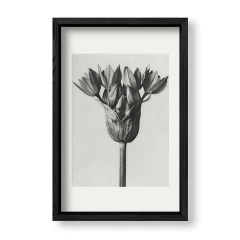 Imagen de Retro Flower