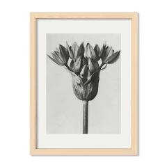 Retro Flower