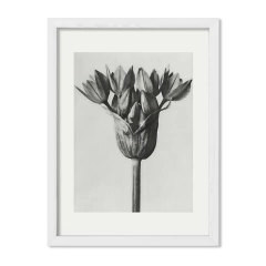 Retro Flower - comprar online