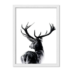 Reno Back - comprar online