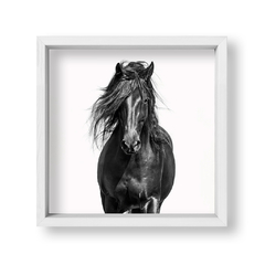 Corcel Negro - tienda online