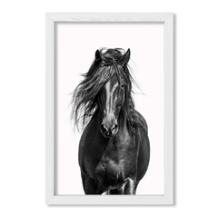 Corcel Negro - comprar online