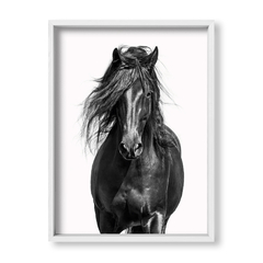 Corcel Negro - tienda online