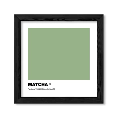 Pantone Matcha en internet