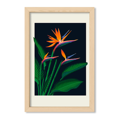 Flor del Paraiso
