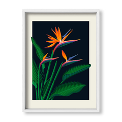 Flor del Paraiso - tienda online