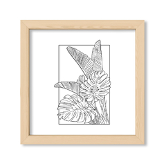 Botanic Lines 1