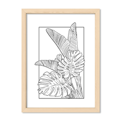Botanic Lines 1