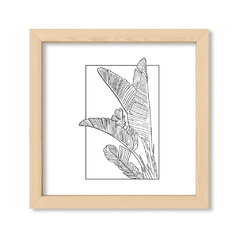 Botanic Lines 2