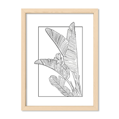 Botanic Lines 2