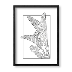 Imagen de Botanic Lines 2