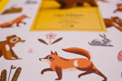 Conejo Europeo - comprar online