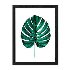 Alone Monstera en internet
