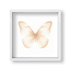 Mariposa Marfil 2 - comprar online