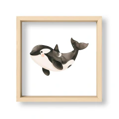 Amigos del Océano Orca