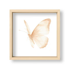 Mariposa Marfil 3