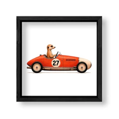 Imagen de Animales al Volante Suricata