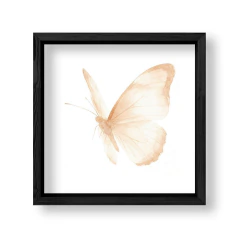 Mariposa Marfil 3 en internet