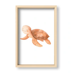 Amigos del Océano Tortuga