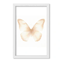 Mariposa Marfil 2 - tienda online
