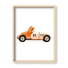 Animales al Volante Oso