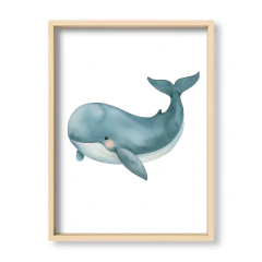 Amigos del Océano Ballena