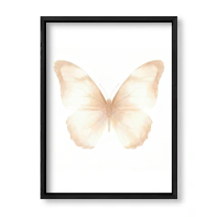 Mariposa Marfil 2 en internet