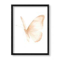 Mariposa Marfil 3 en internet