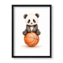 Amigos del Deporte Panda Basketball en internet