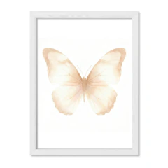 Mariposa Marfil 2 - tienda online